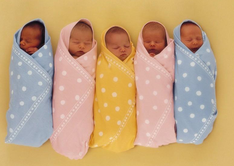 第六次人口普查 第六次人口普查